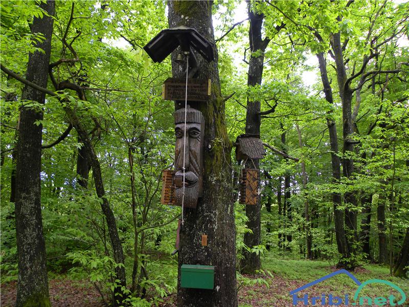 HrusevoVrhe_004468975