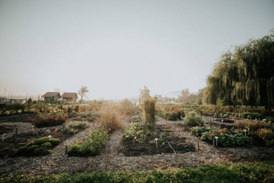 279785135_531112675240277_8799697990491839387_n