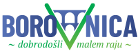Visit Borovnica